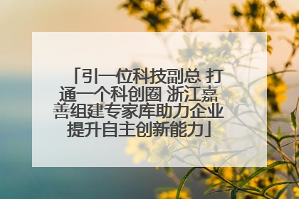 引一位科技副总 打通一个科创圈 浙江嘉善组建专家库助力企业提升自主创新能力