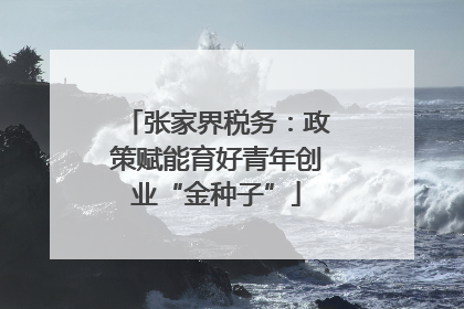 张家界税务：政策赋能育好青年创业“金种子”