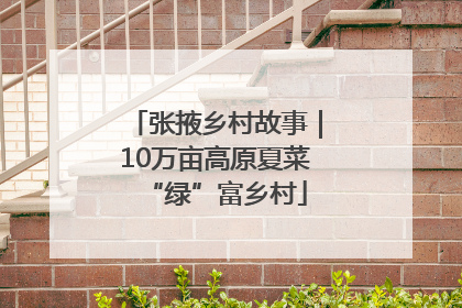 张掖乡村故事｜10万亩高原夏菜“绿”富乡村