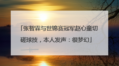 张智霖与世锦赛冠军赵心童切磋球技，本人发声：很梦幻