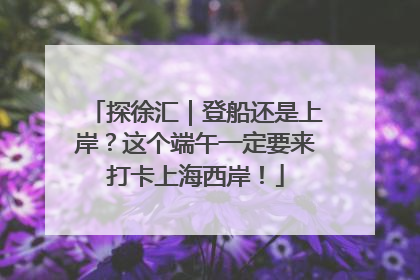 探徐汇｜登船还是上岸？这个端午一定要来打卡上海西岸！