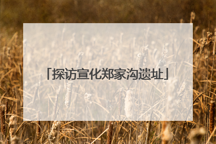 探访宣化郑家沟遗址