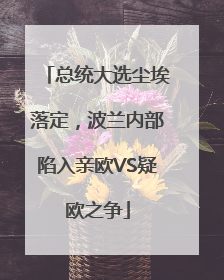 总统大选尘埃落定，波兰内部陷入亲欧VS疑欧之争