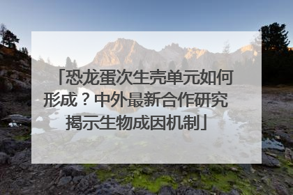 恐龙蛋次生壳单元如何形成？中外最新合作研究揭示生物成因机制