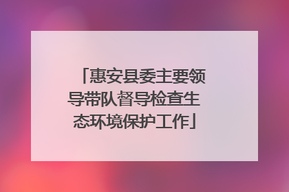 惠安县委主要领导带队督导检查生态环境保护工作