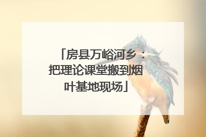 房县万峪河乡：把理论课堂搬到烟叶基地现场