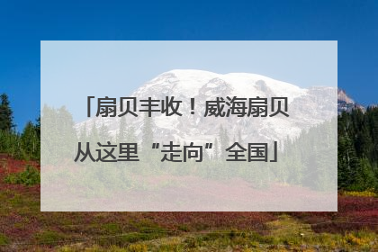 扇贝丰收！威海扇贝从这里“走向”全国
