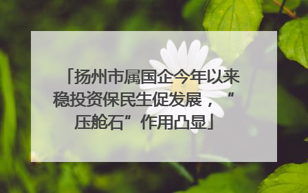 扬州市属国企今年以来稳投资保民生促发展，“压舱石”作用凸显