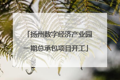 扬州数字经济产业园一期总承包项目开工