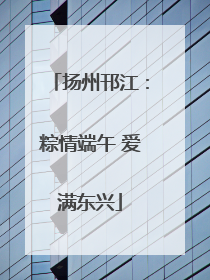 扬州邗江：粽情端午 爱满东兴