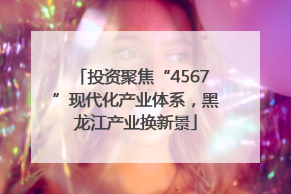 投资聚焦“4567”现代化产业体系，黑龙江产业换新景