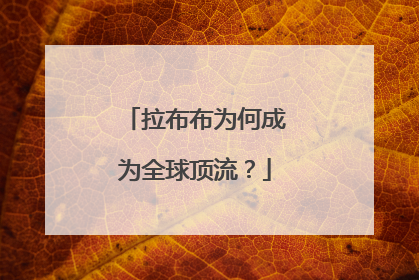 拉布布为何成为全球顶流？
