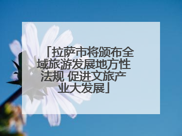 拉萨市将颁布全域旅游发展地方性法规 促进文旅产业大发展