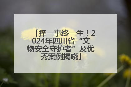 择一事终一生！2024年四川省“文物安全守护者”及优秀案例揭晓