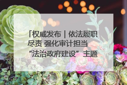 权威发布｜依法履职尽责 强化审计担当 “法治政府建设”主题系列新闻发布会市审计局专场召开