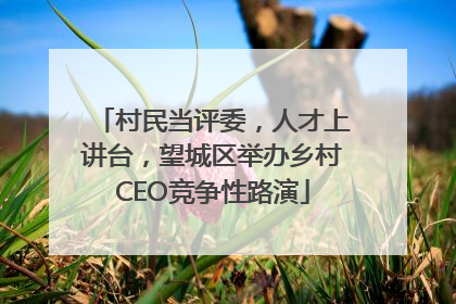 村民当评委，人才上讲台，望城区举办乡村CEO竞争性路演