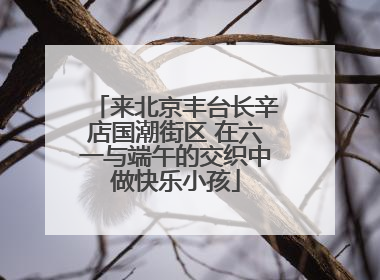 来北京丰台长辛店国潮街区 在六一与端午的交织中做快乐小孩