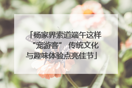 杨家界索道端午这样“宠游客” 传统文化与趣味体验点亮佳节