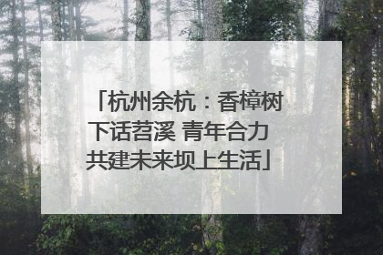 杭州余杭：香樟树下话苕溪 青年合力共建未来坝上生活