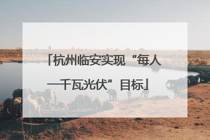 杭州临安实现“每人一千瓦光伏”目标