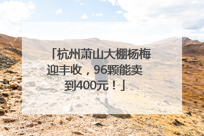 杭州萧山大棚杨梅迎丰收，96颗能卖到400元！