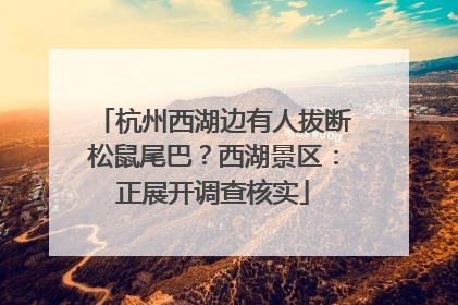 杭州西湖边有人拔断松鼠尾巴？西湖景区：正展开调查核实