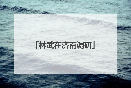 林武在济南调研