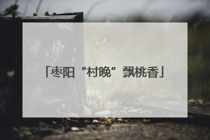 枣阳“村晚”飘桃香