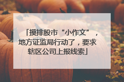 摸排股市“小作文”，地方证监局行动了，要求辖区公司上报线索