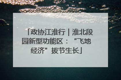 政协江淮行｜淮北段园新型功能区：“飞地经济”拔节生长