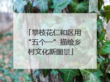 攀枝花仁和区用“五个一”描绘乡村文化新图景