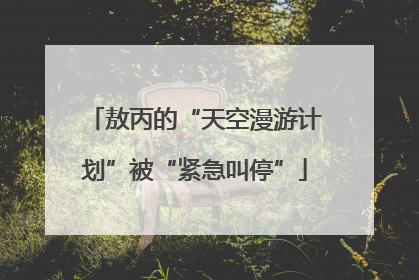 敖丙的“天空漫游计划”被“紧急叫停”
