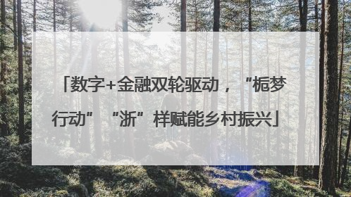 数字+金融双轮驱动，“栀梦行动”“浙”样赋能乡村振兴