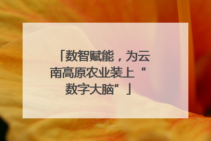 数智赋能，为云南高原农业装上“数字大脑”