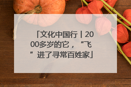 文化中国行丨2000多岁的它，“飞”进了寻常百姓家