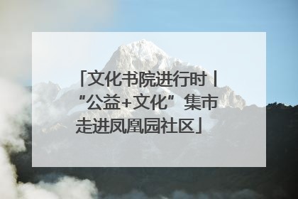 文化书院进行时丨“公益+文化”集市走进凤凰园社区