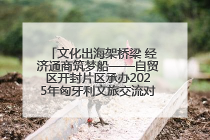 文化出海架桥梁 经济通商筑梦船——自贸区开封片区承办2025年匈牙利文旅交流对接活动专场