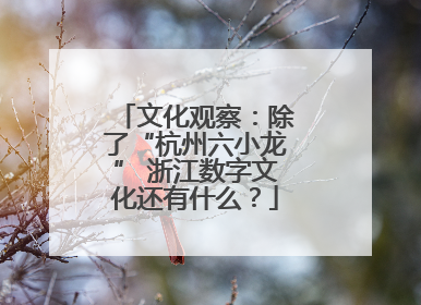 文化观察：除了“杭州六小龙” 浙江数字文化还有什么？