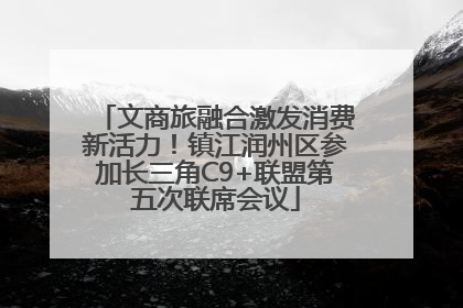 文商旅融合激发消费新活力！镇江润州区参加长三角C9+联盟第五次联席会议