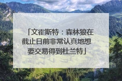 文霍斯特：森林狼在截止日前非常认真地想要交易得到杜兰特
