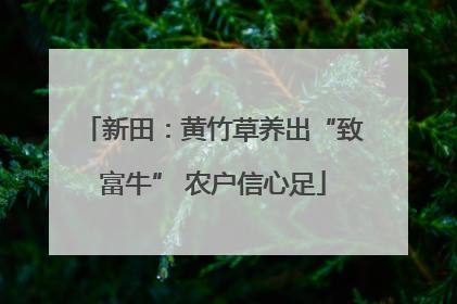 新田：黄竹草养出“致富牛” 农户信心足