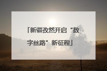 新疆孜然开启“数字丝路”新征程