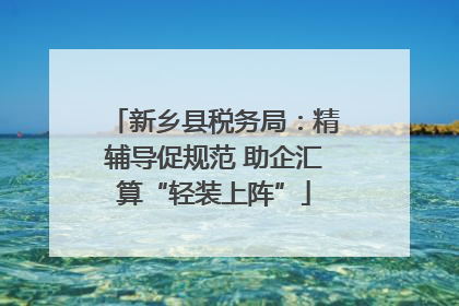 新乡县税务局：精辅导促规范 助企汇算“轻装上阵”