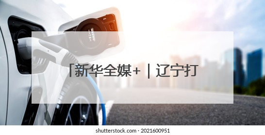 新华全媒+｜辽宁打造跨境文旅新生态