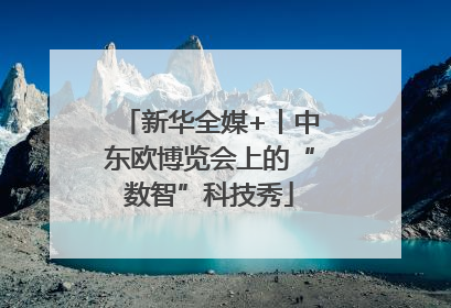新华全媒+丨中东欧博览会上的“数智”科技秀