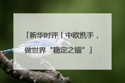 新华时评丨中欧携手，做世界“稳定之锚”