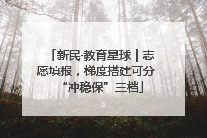新民·教育星球｜志愿填报，梯度搭建可分“冲稳保”三档