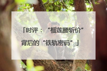 时评：“榴莲腰斩价”背后的“铁轨密码”