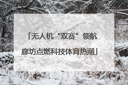 无人机“双赛”领航 廊坊点燃科技体育热潮