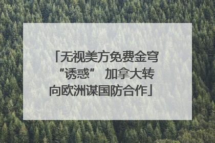 无视美方免费金穹“诱惑” 加拿大转向欧洲谋国防合作